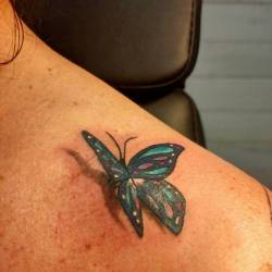 Papillon 3D