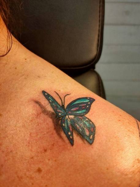 Papillon 3D